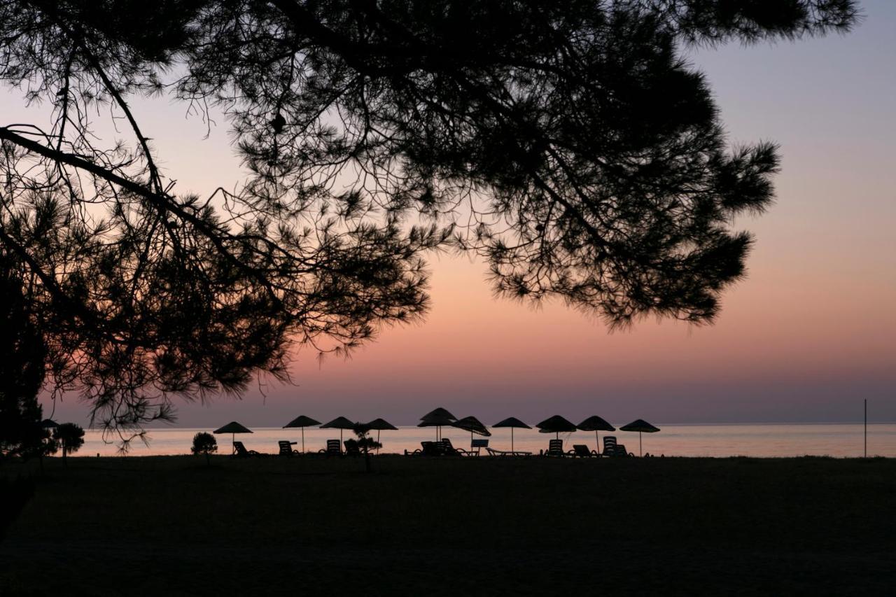Gayb-I Bungalows By Naturelife - Free Access To Beach Çıralı Eksteriør bilde