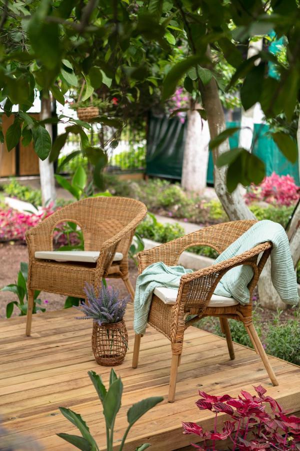 Gayb-I Bungalows By Naturelife - Free Access To Beach Çıralı Eksteriør bilde